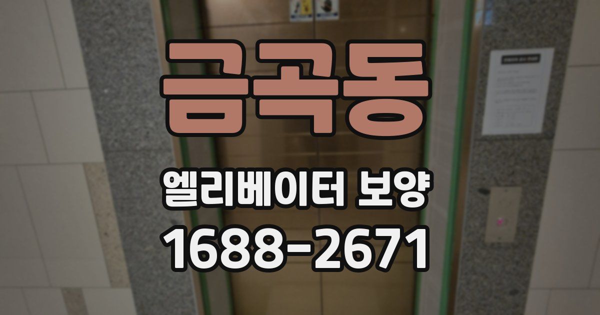금곡동 엘리베이터 보양