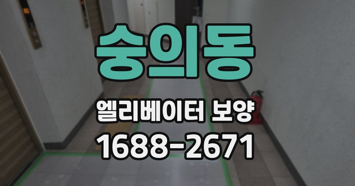 숭의동 엘리베이터 보양