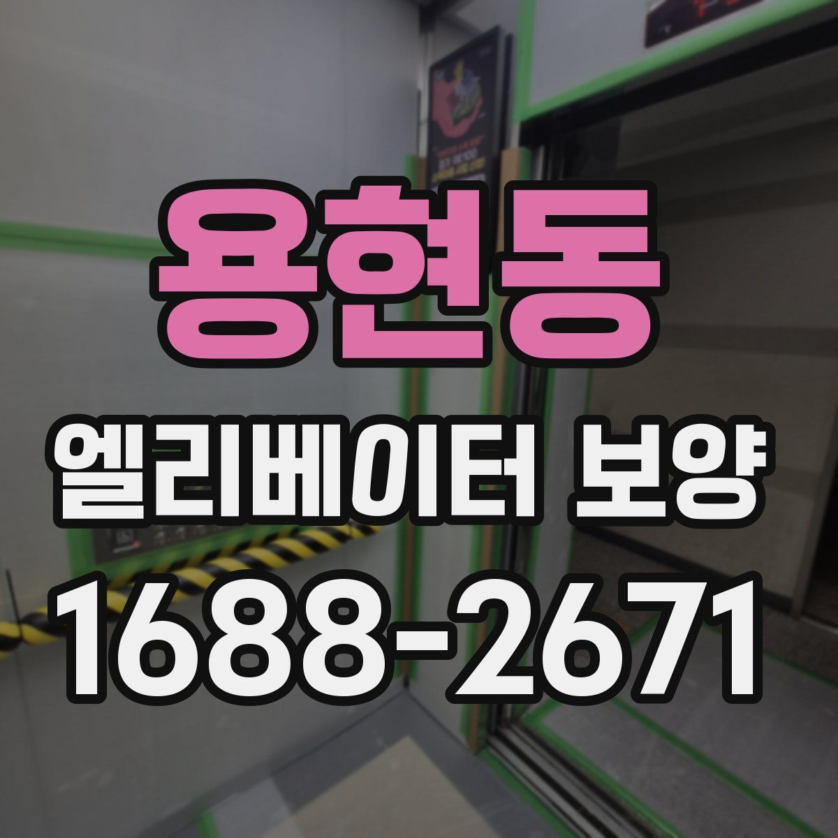 용현동 엘리베이터 보양