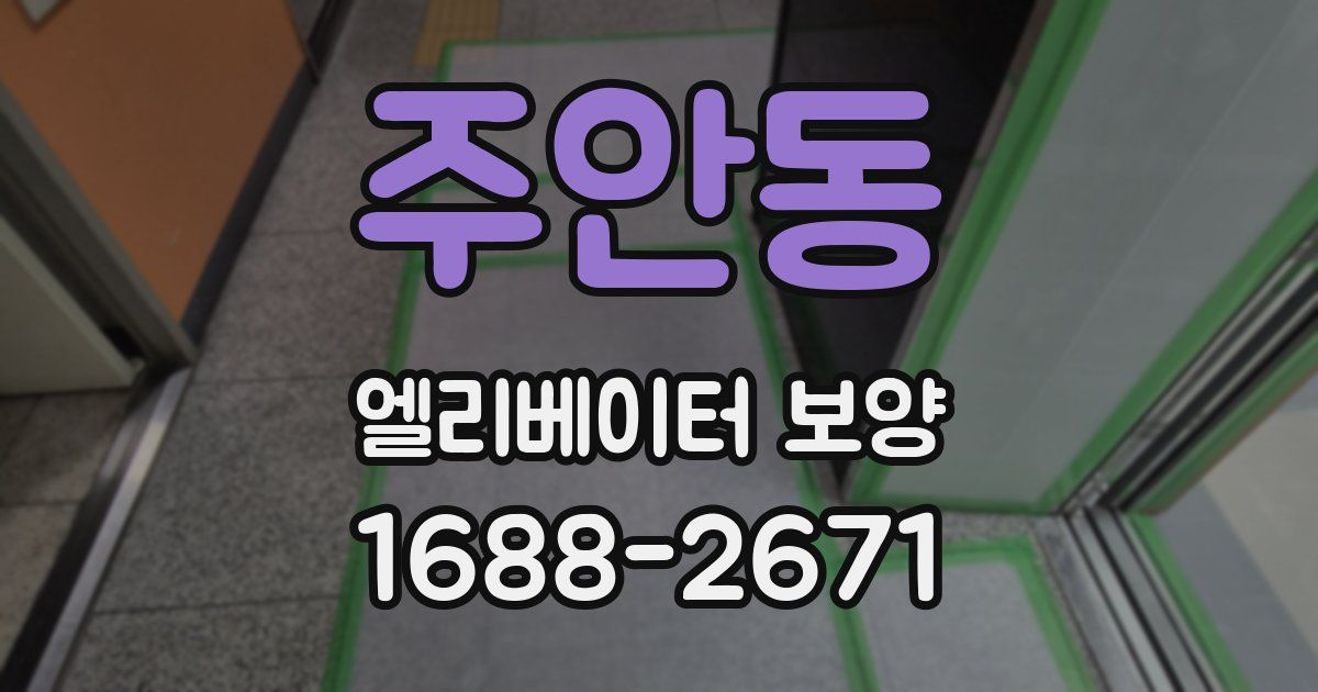 주안동 엘리베이터 보양