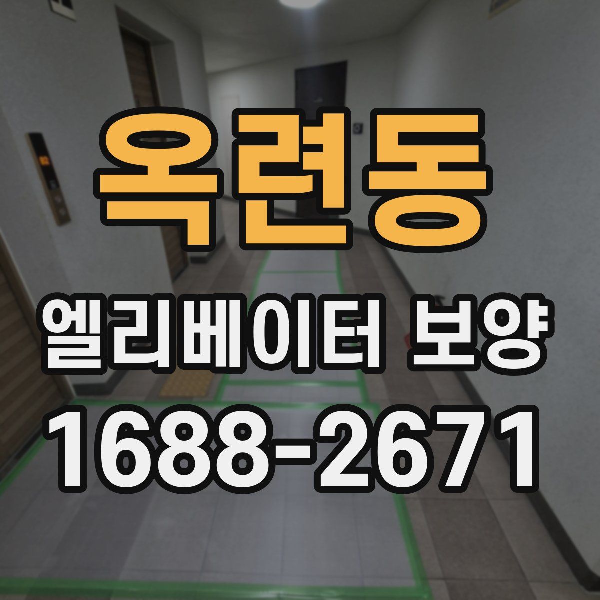 옥련동 엘리베이터 보양