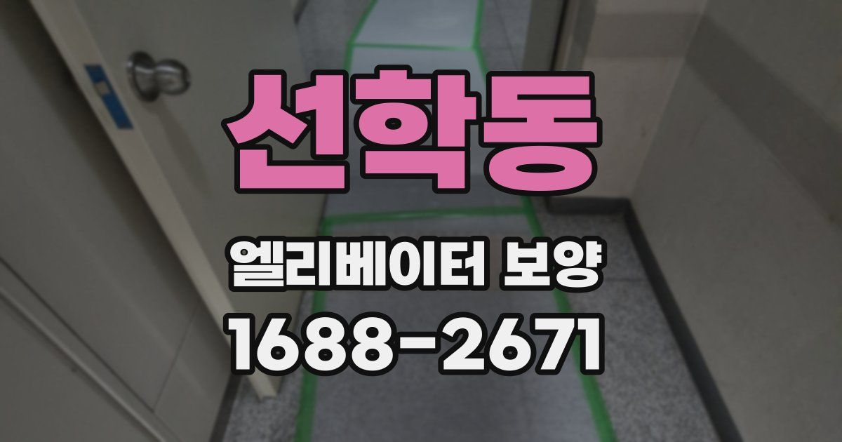 선학동 엘리베이터 보양