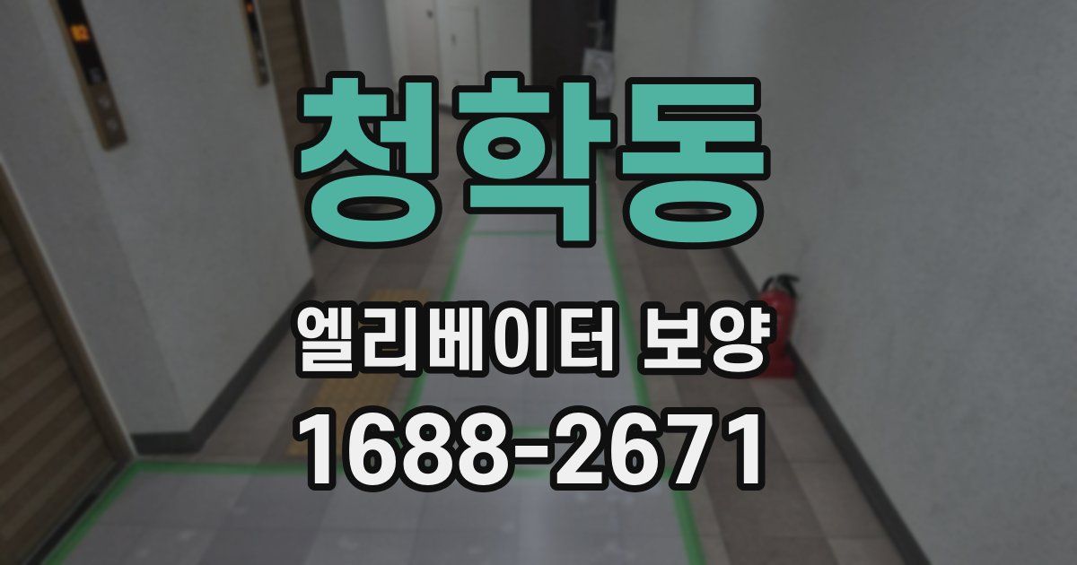 청학동 엘리베이터 보양