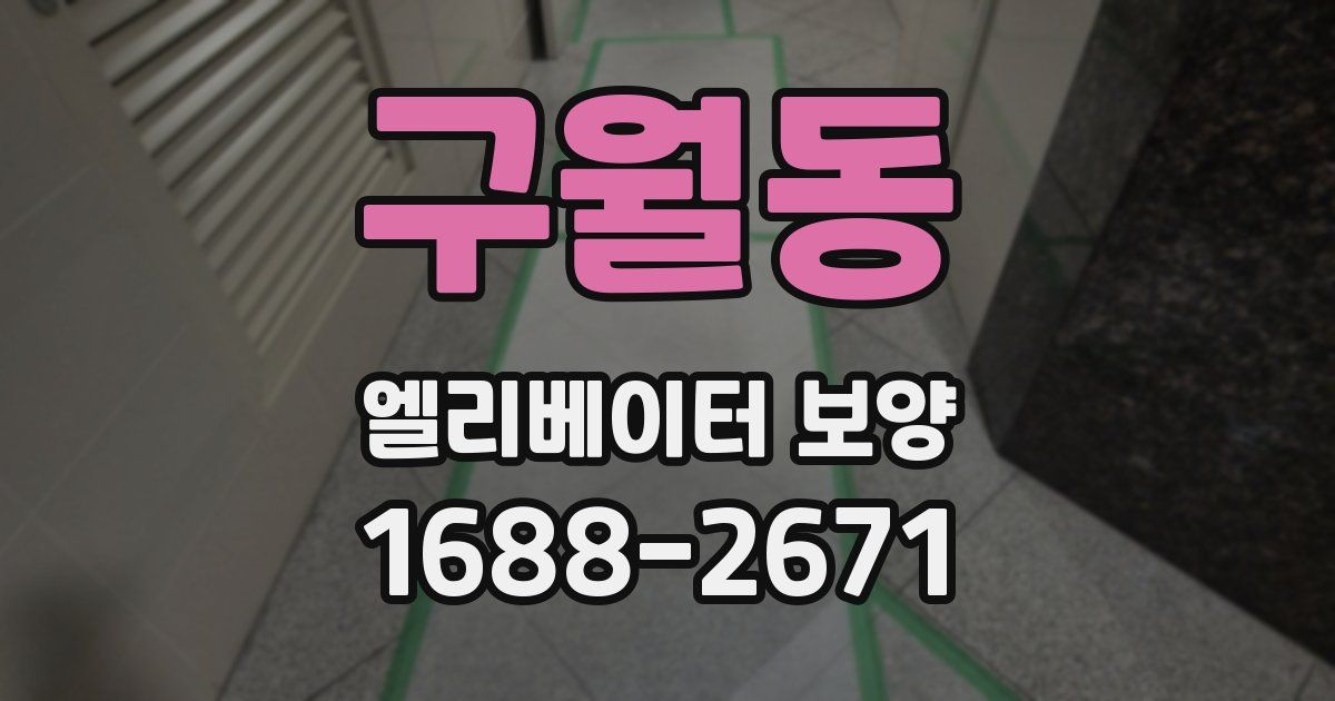 구월동 엘리베이터 보양