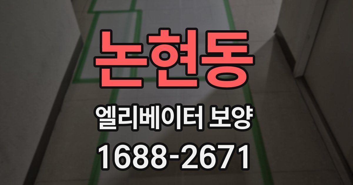 논현동 엘리베이터 보양