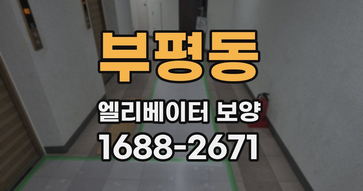 부평동 엘리베이터 보양