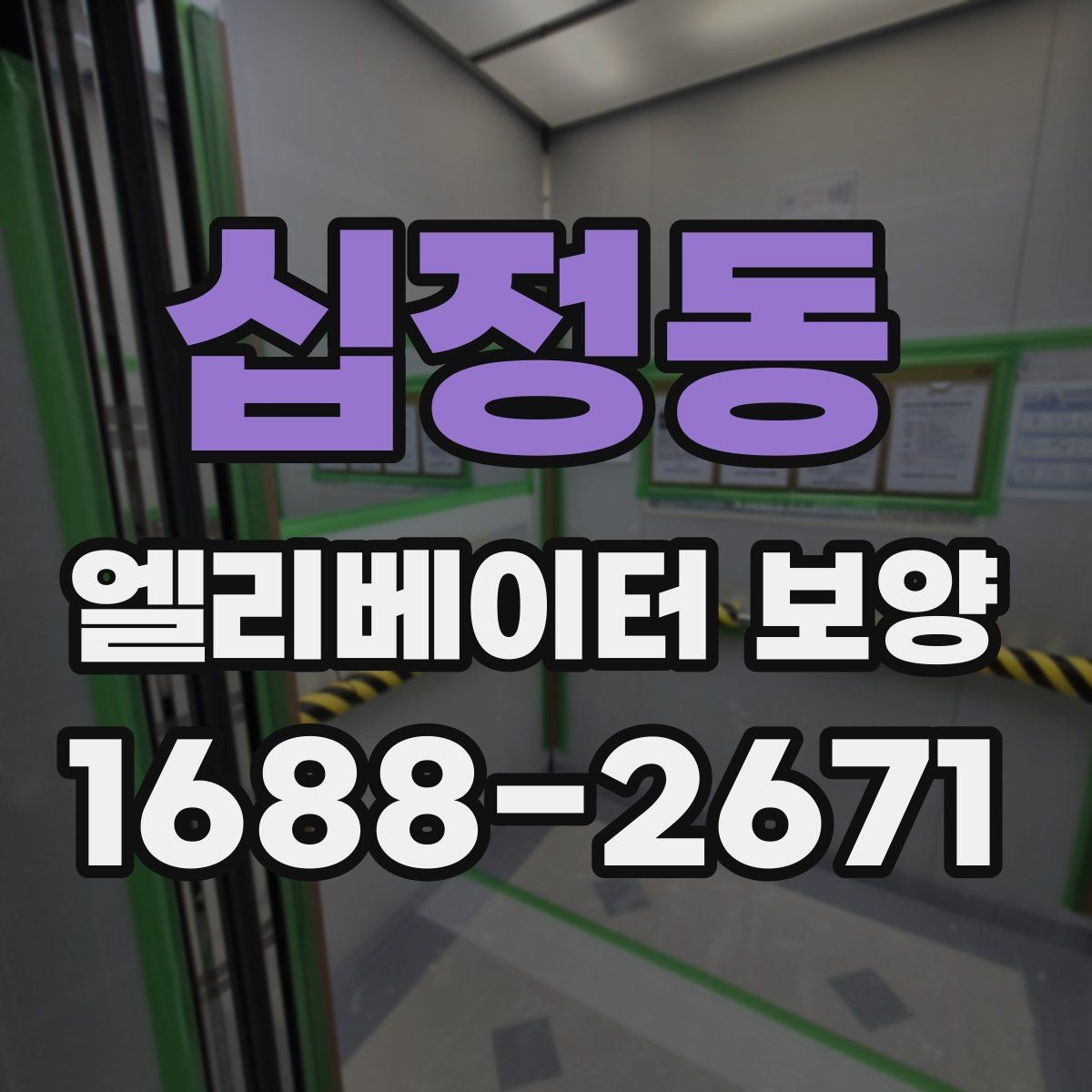 십정동 엘리베이터 보양 재료별 장단점 살펴보기