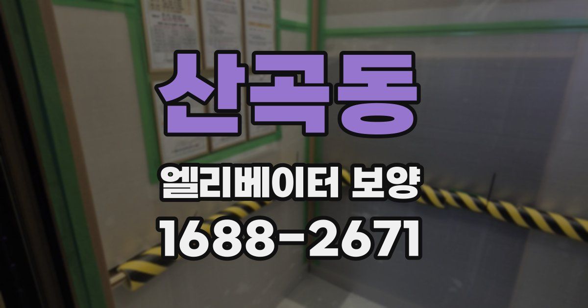산곡동 엘리베이터 보양