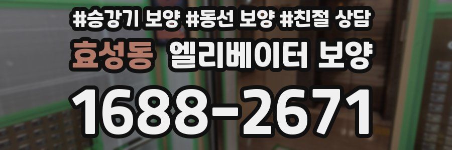효성동 엘리베이터 보양