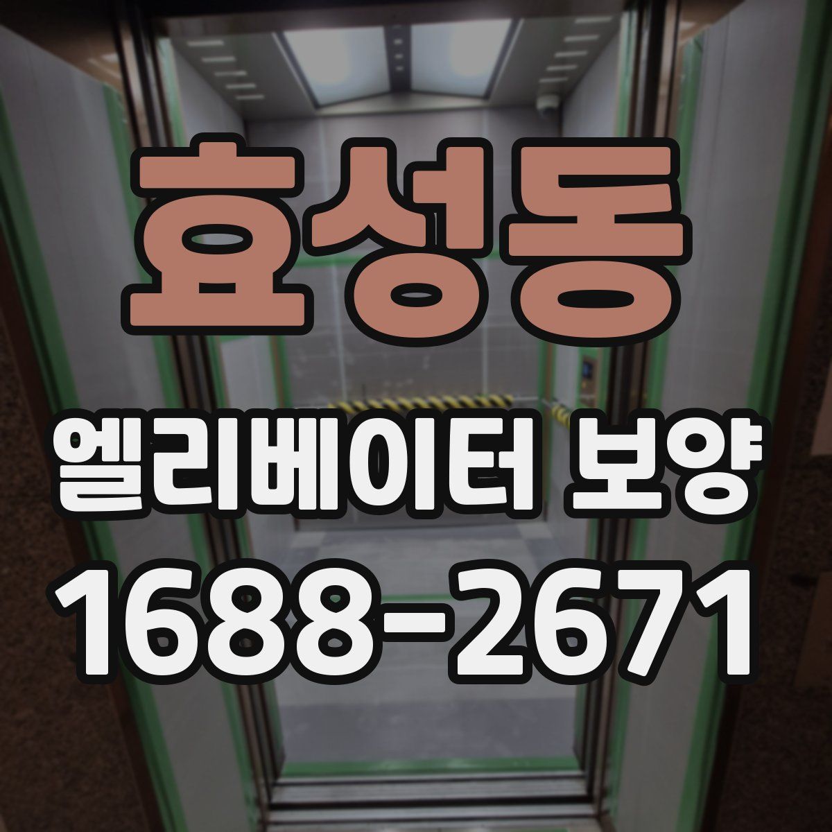 효성동 엘리베이터 보양