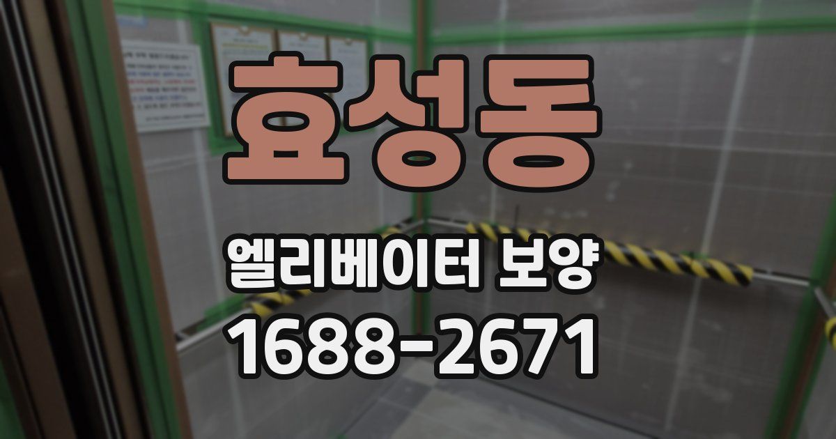 효성동 엘리베이터 보양