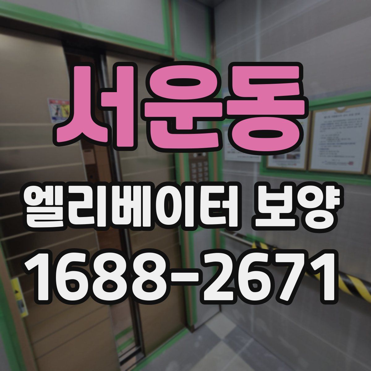 서운동 엘리베이터 보양