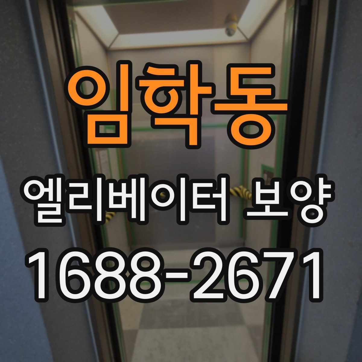 임학동 엘리베이터 보양 자재 종류를 한눈에 보는 정리