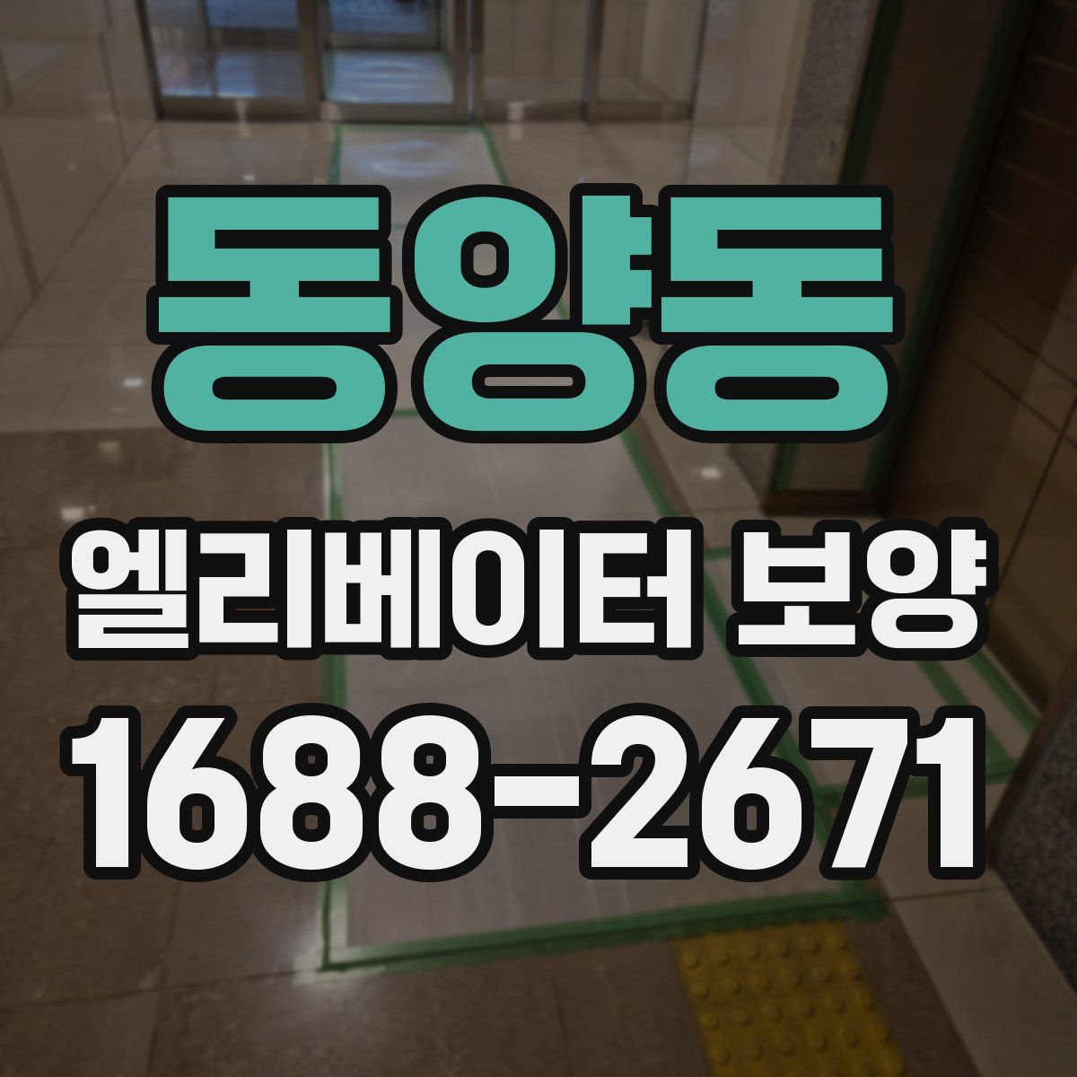 동양동 엘리베이터 보양