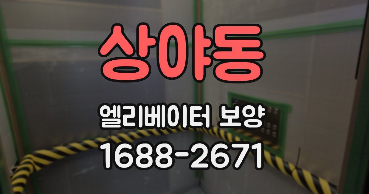 상야동 엘리베이터 보양