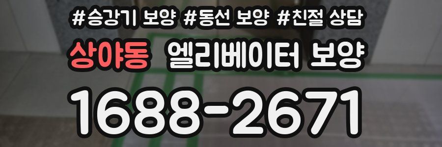 상야동 엘리베이터 보양