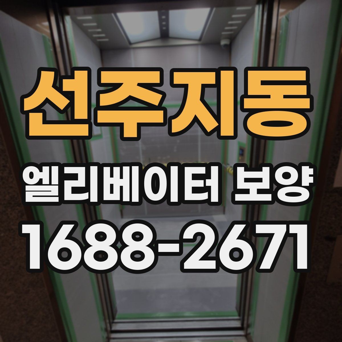 선주지동 엘리베이터 보양 일정이 촉박할 때 고려할 점