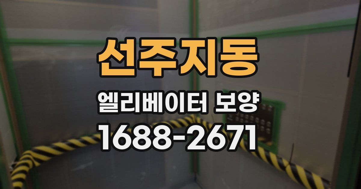 선주지동 엘리베이터 보양