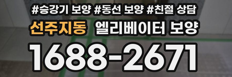 선주지동 엘리베이터 보양