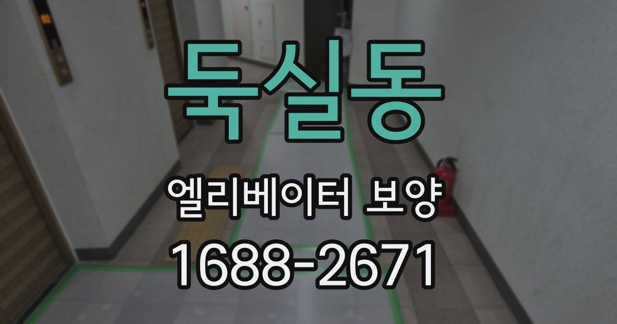 둑실동 엘리베이터 보양