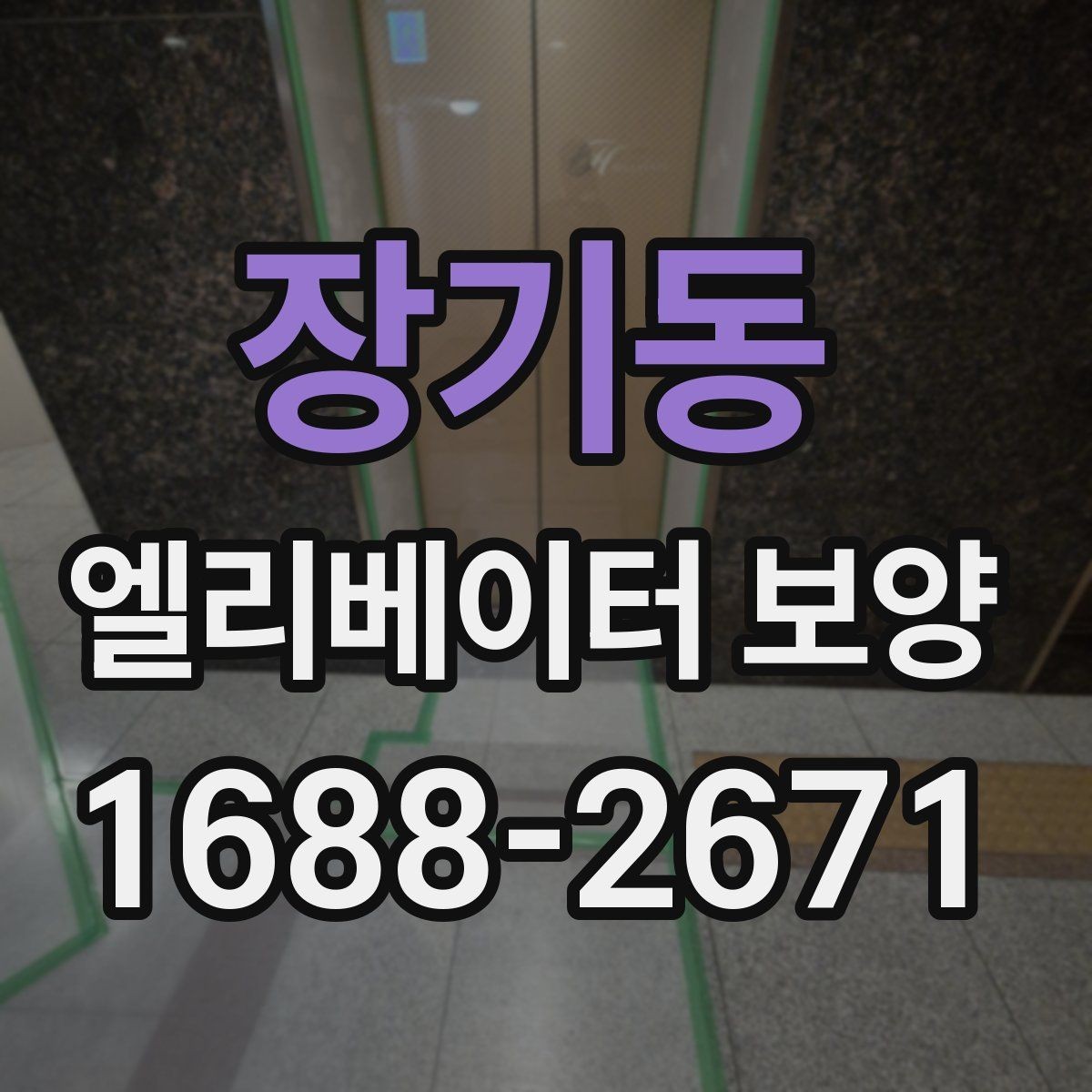 장기동 엘리베이터 보양 설치와 철거의 균형을 맞추는 법