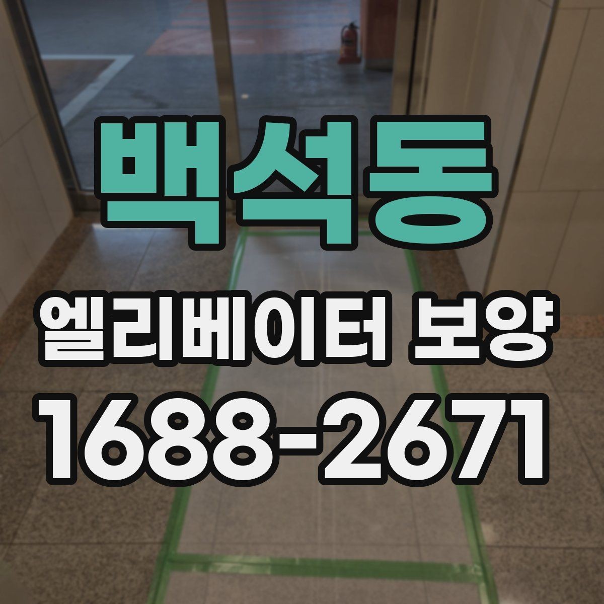 백석동 엘리베이터 보양 비용과 작업 범위의 관계