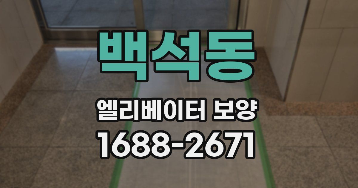 백석동 엘리베이터 보양