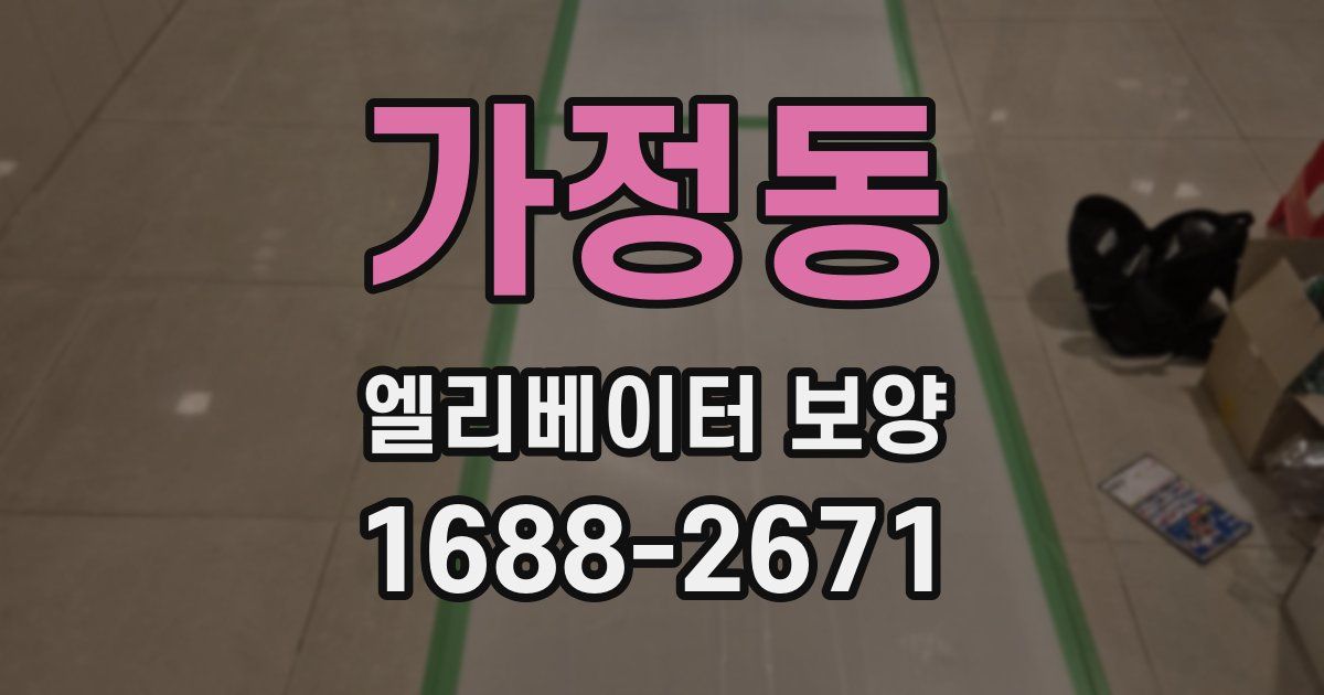 가정동 엘리베이터 보양