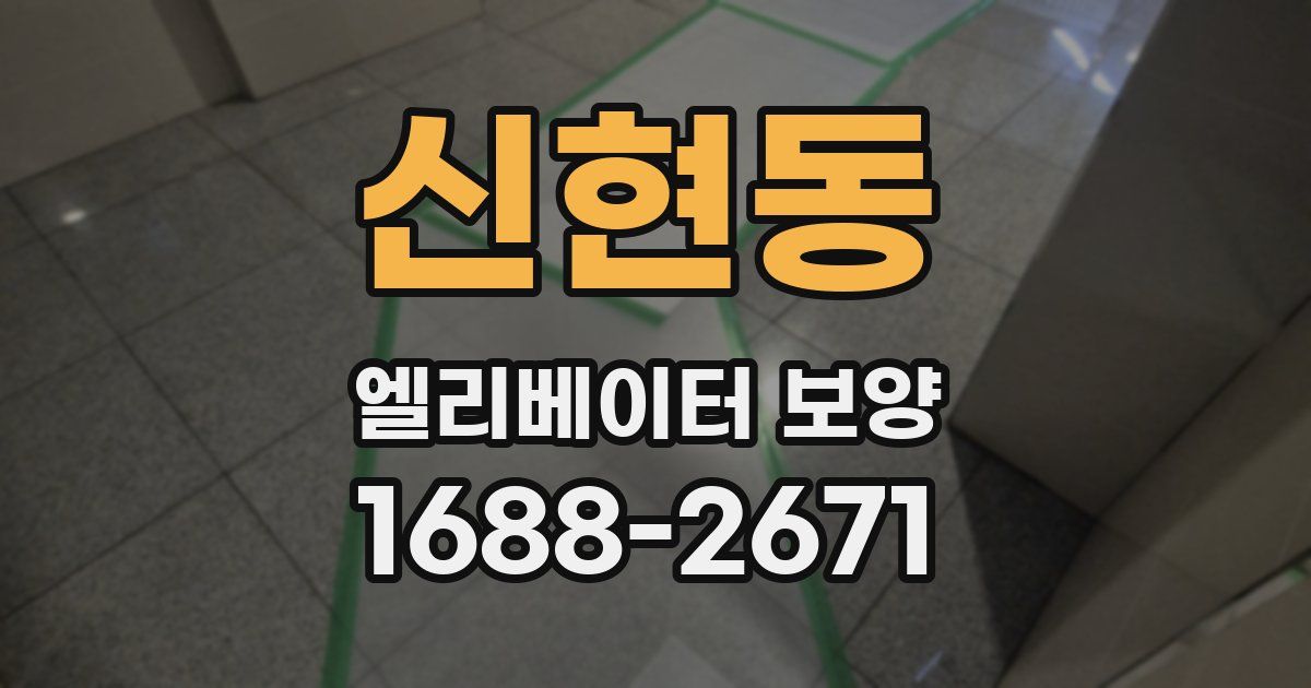 신현동 엘리베이터 보양