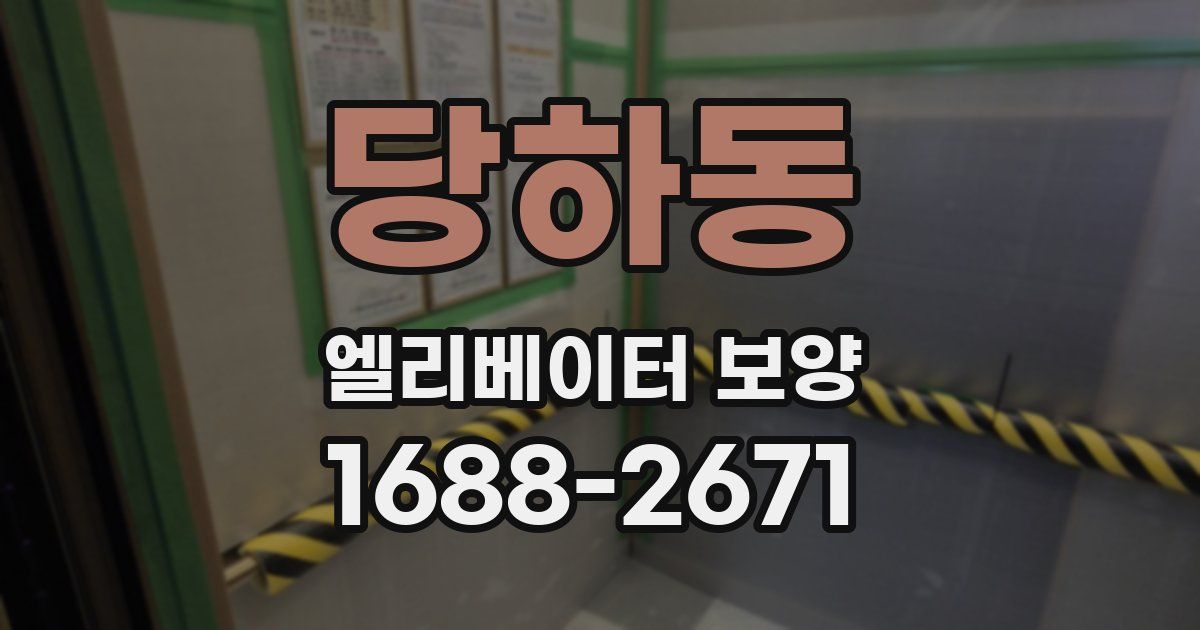 당하동 엘리베이터 보양