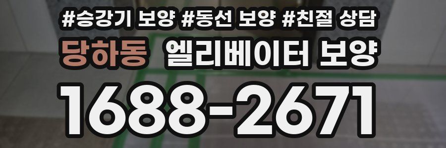 당하동 엘리베이터 보양