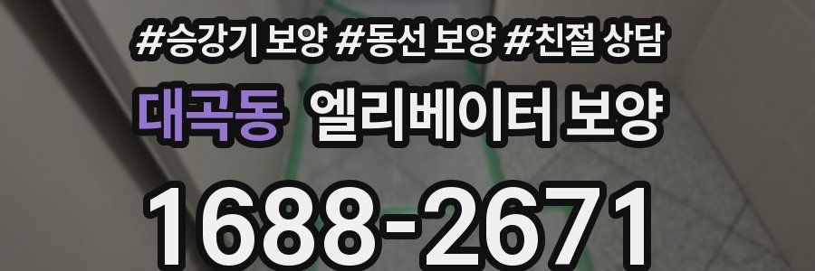 대곡동 엘리베이터 보양