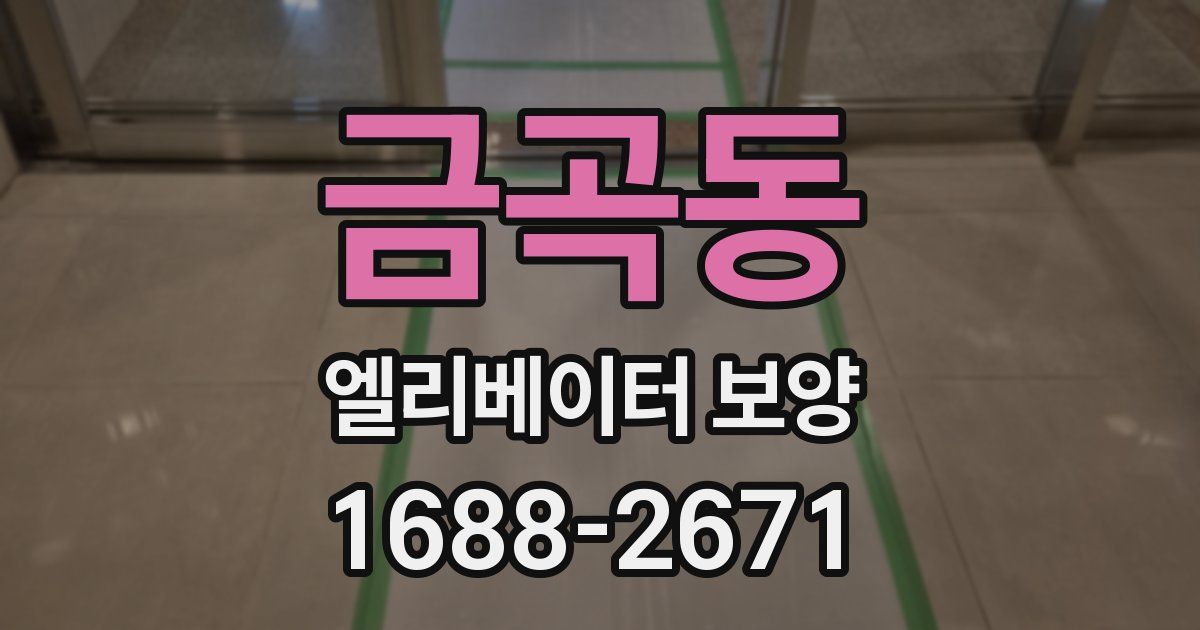 금곡동 엘리베이터 보양