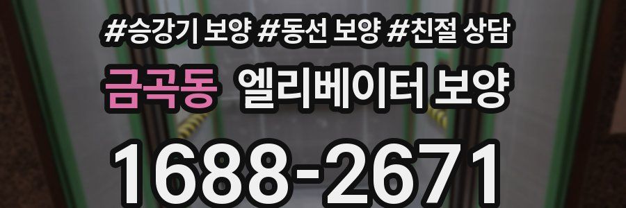 금곡동 엘리베이터 보양