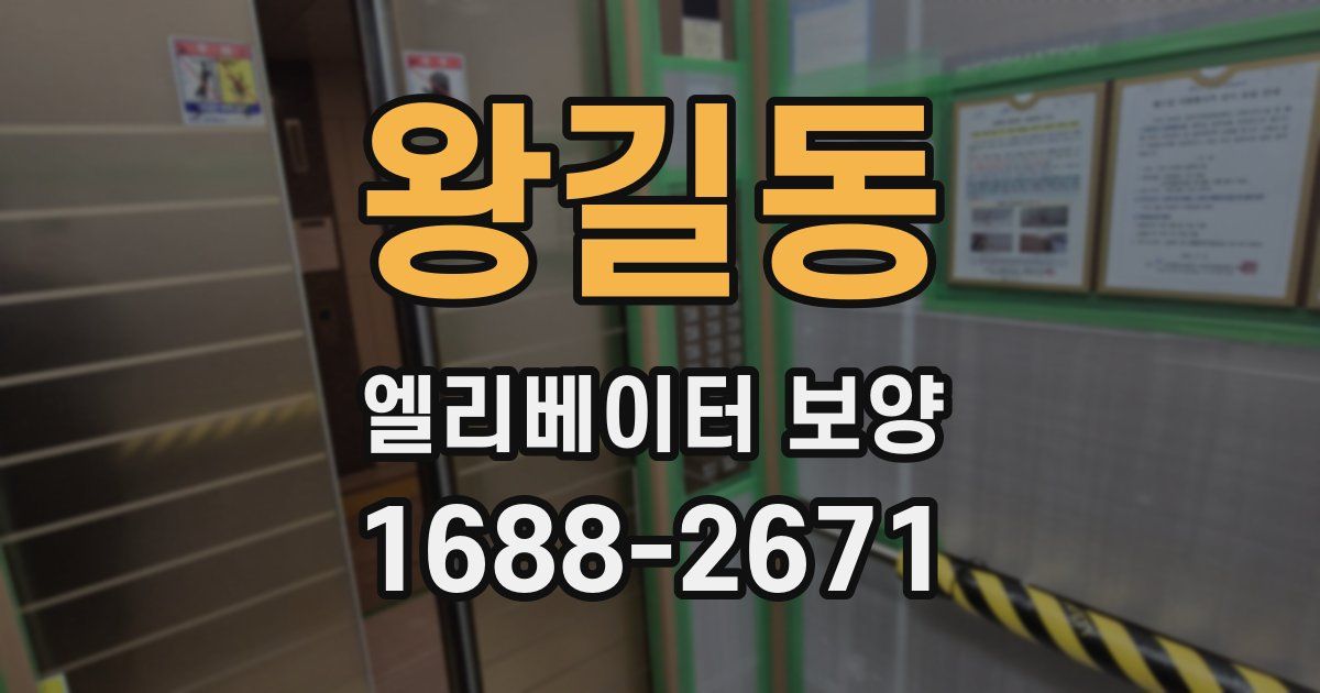 왕길동 엘리베이터 보양
