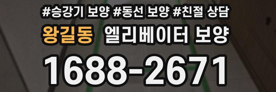 왕길동 엘리베이터 보양