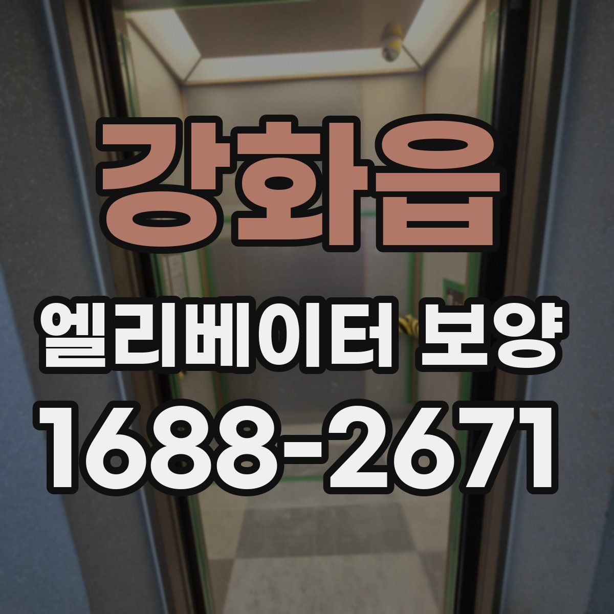 강화읍 엘리베이터 보양