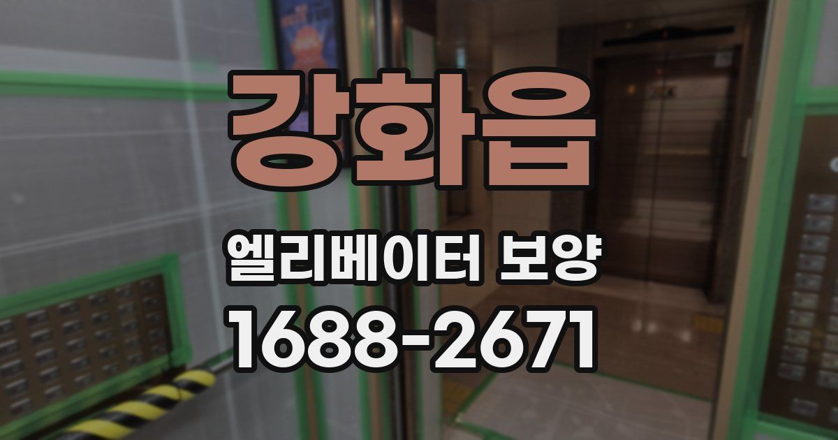 강화읍 엘리베이터 보양