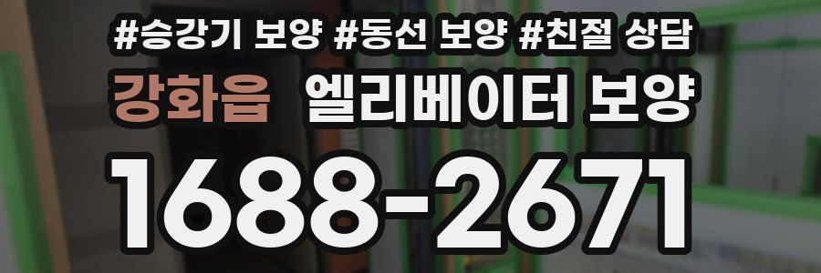 강화읍 엘리베이터 보양