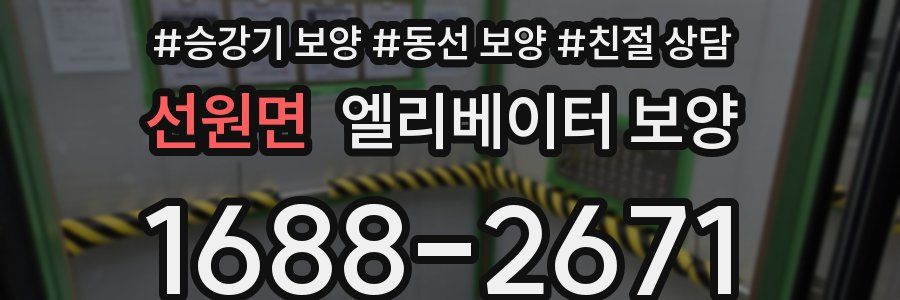 선원면 엘리베이터 보양
