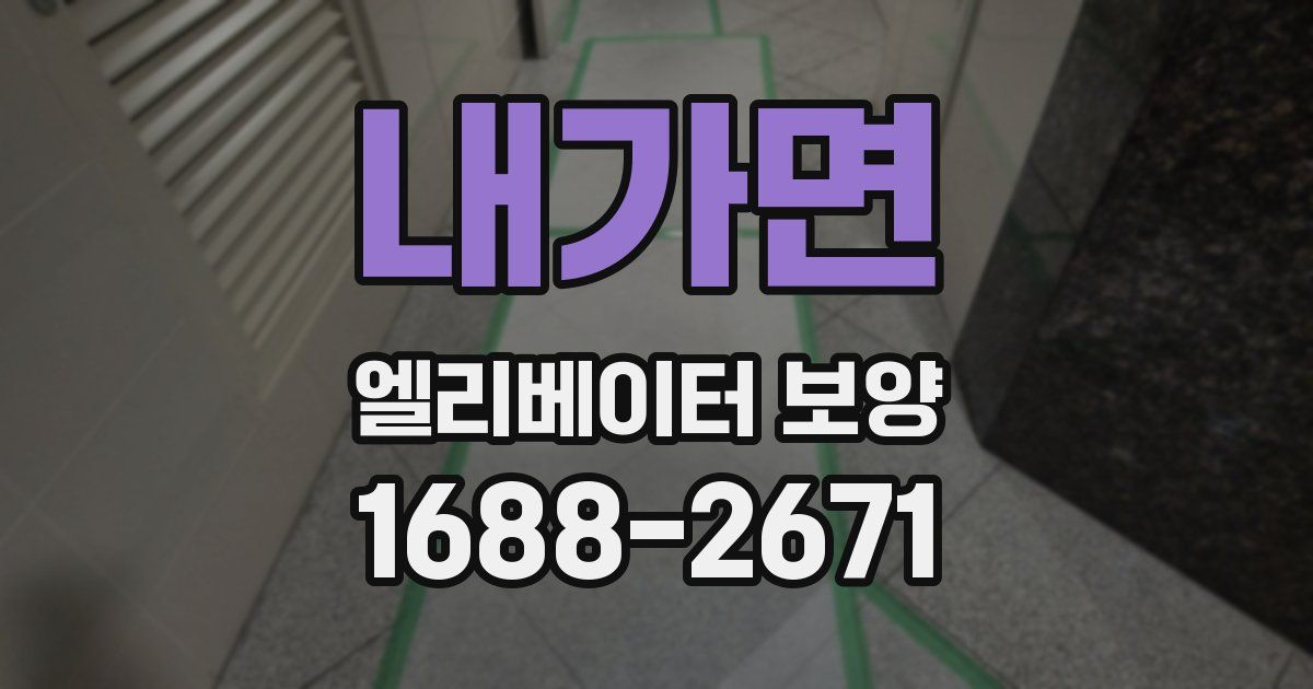 내가면 엘리베이터 보양