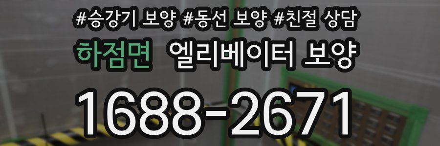하점면 엘리베이터 보양