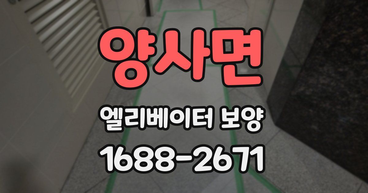 양사면 엘리베이터 보양