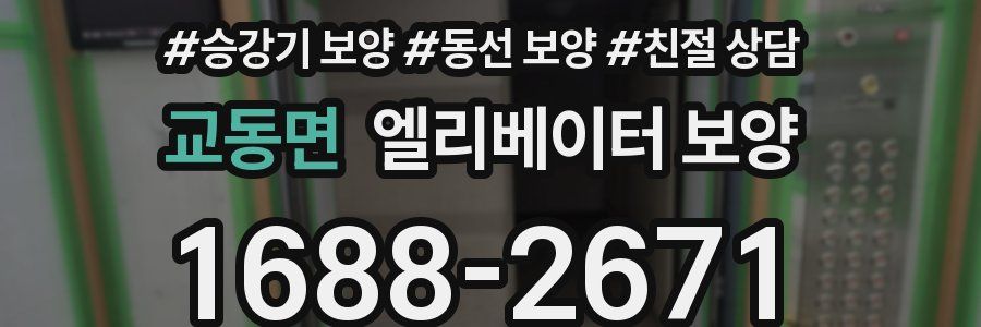 교동면 엘리베이터 보양