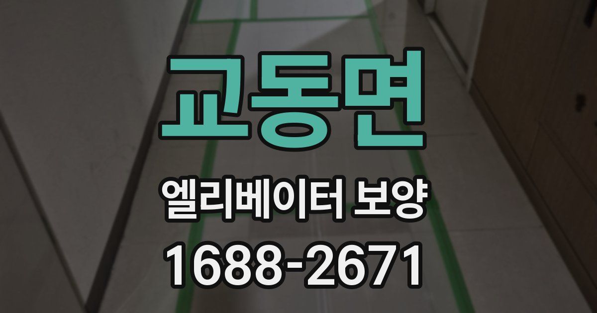 교동면 엘리베이터 보양
