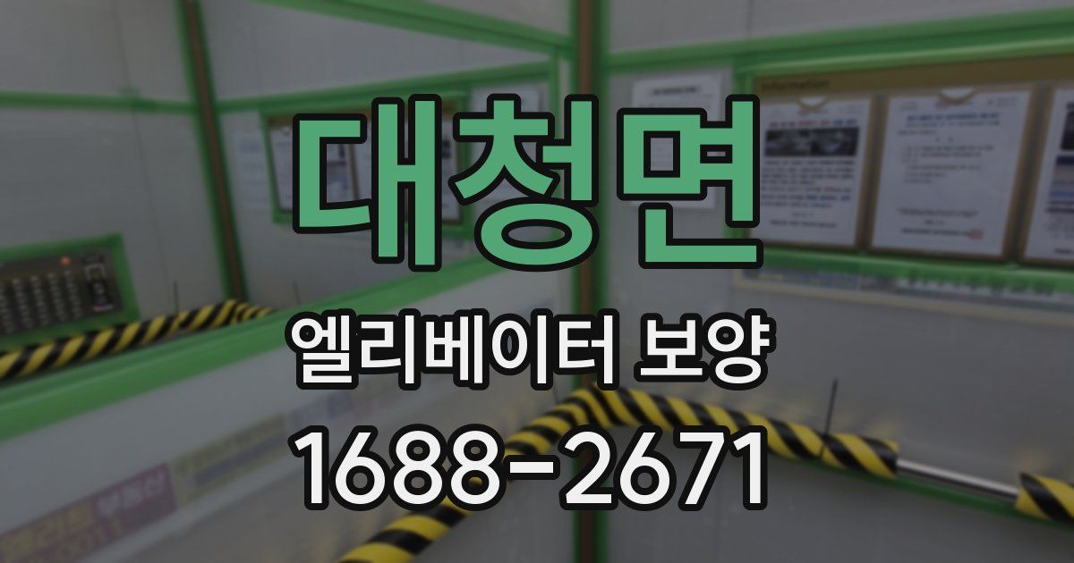 대청면 엘리베이터 보양