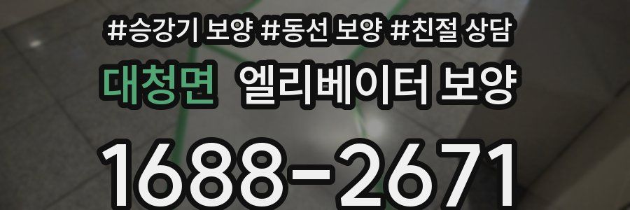 대청면 엘리베이터 보양