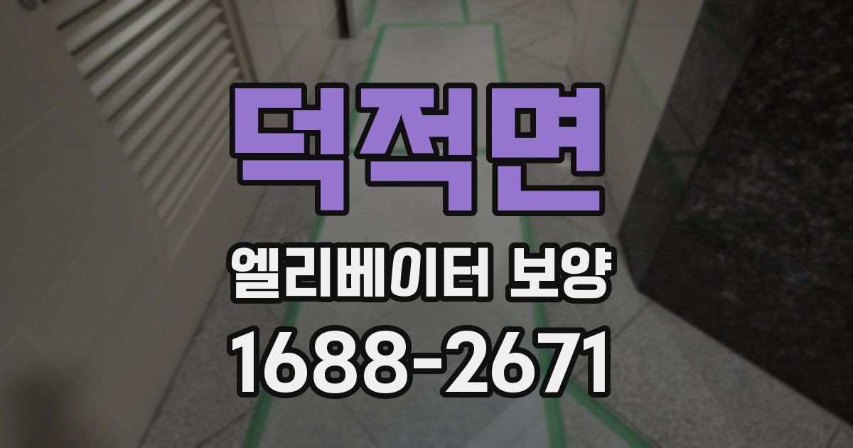 덕적면 엘리베이터 보양