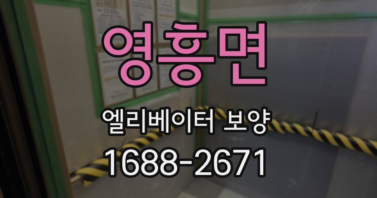 영흥면 엘리베이터 보양