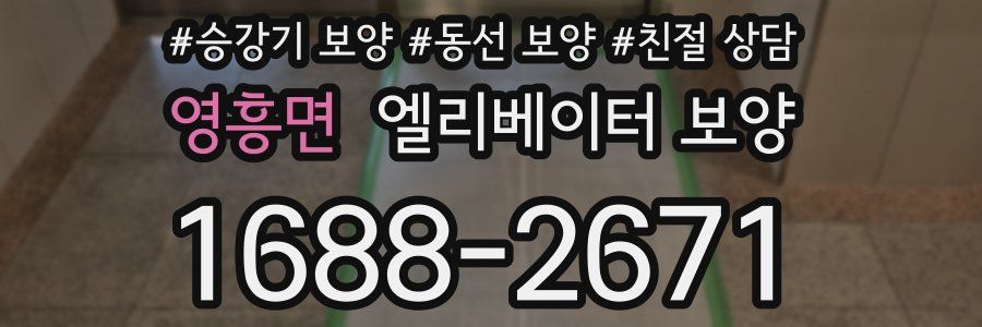 영흥면 엘리베이터 보양